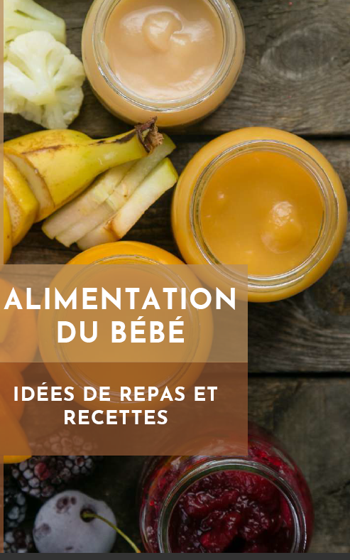 Idées de repas et recettes pour bébé | E-Book